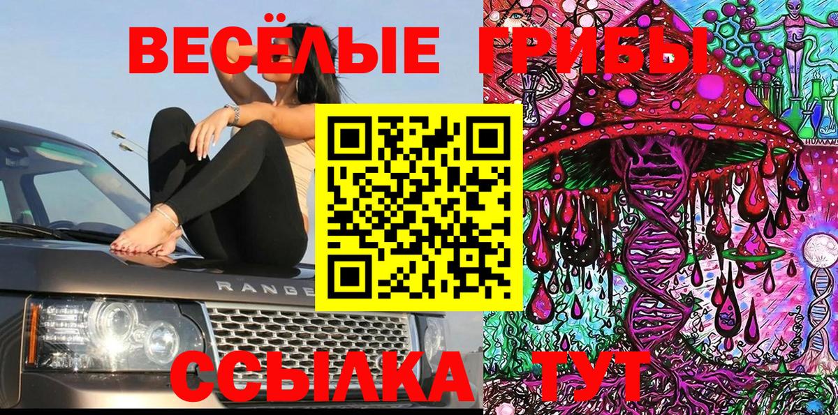 Заводоуковск  Псилоцибиновые грибы Magic Shrooms  Псилоцибиновые грибы Psilocybe  Вход с VPN 
