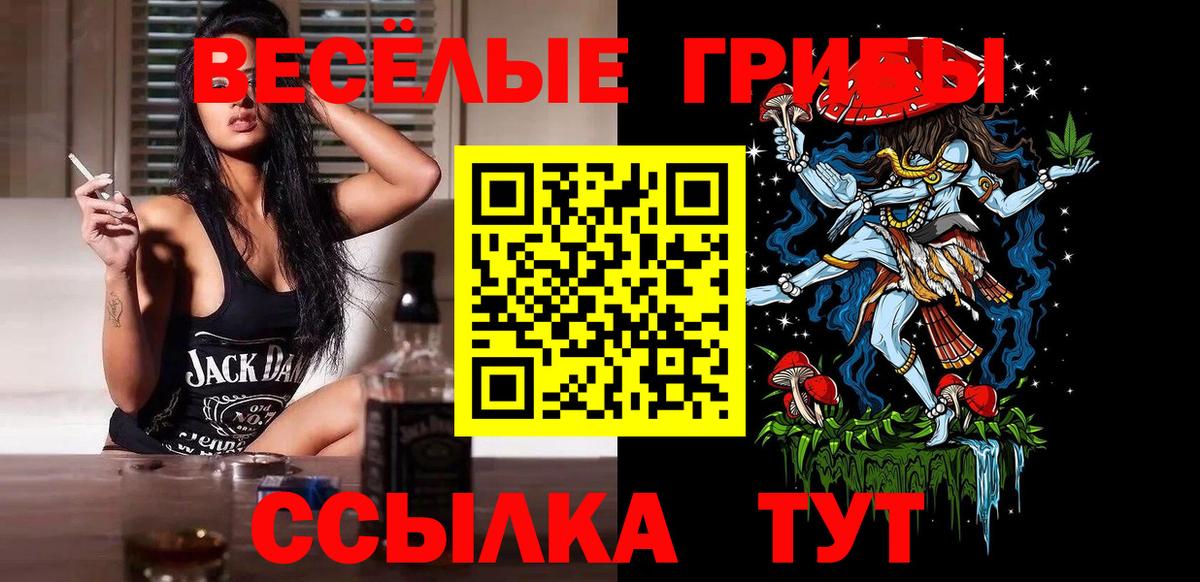 Псилоцибиновые грибы Psilocybine cubensis Заводоуковск